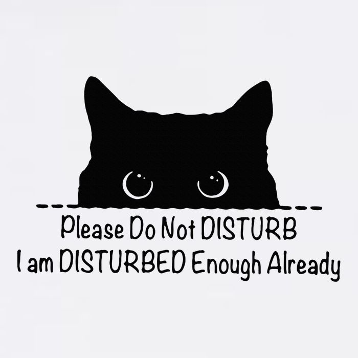 Please Do Not Disturb I Am Disturbed Enough Already Cool Comfort Performance Bucket Hat