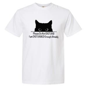 Please Do Not Disturb I Am Disturbed Enough Already Garment-Dyed Heavyweight T-Shirt