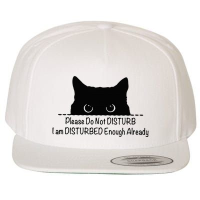 Please Do Not Disturb I Am Disturbed Enough Already Wool Snapback Cap