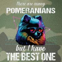 Pomeranian Dog Pomeranians Legacy Tie Dye Trucker Hat