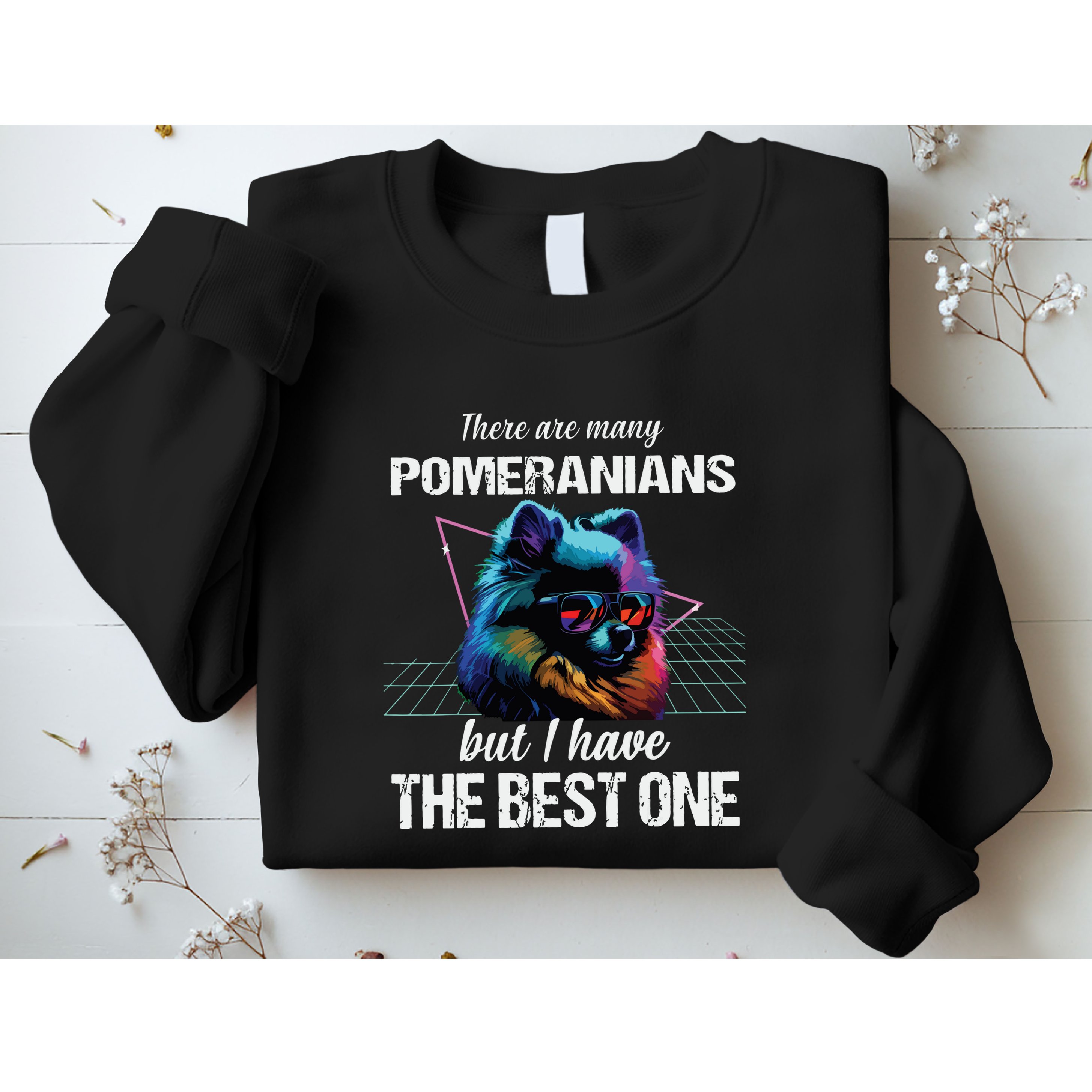 Pomeranian Dog Pomeranians Sweatshirt