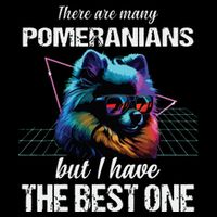 Pomeranian Dog Pomeranians 7-Panel Snapback Hat