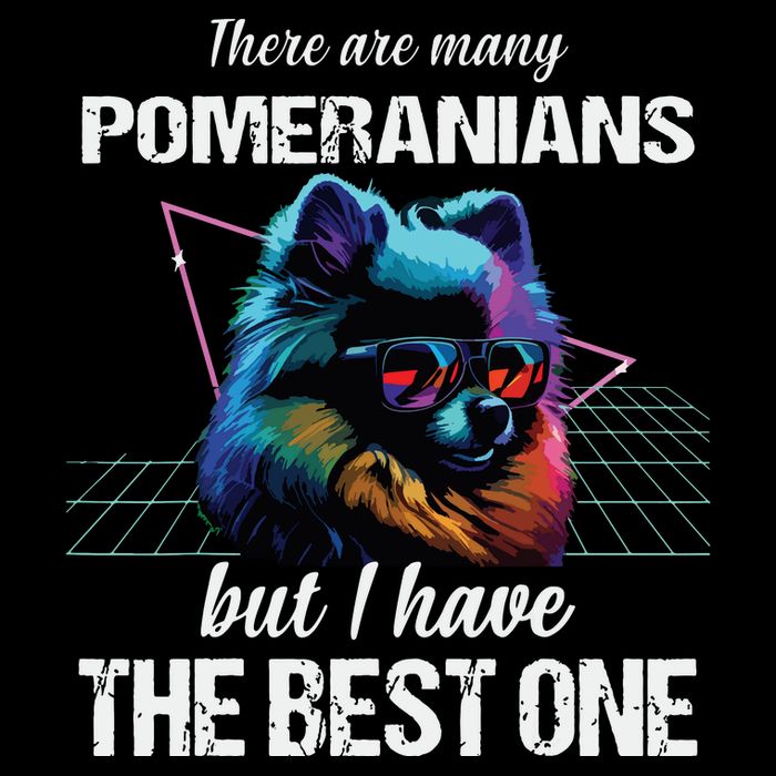 Pomeranian Dog Pomeranians 7-Panel Snapback Hat