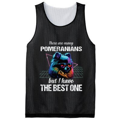Pomeranian Dog Pomeranians Mesh Reversible Basketball Jersey Tank