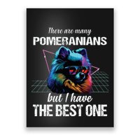 Pomeranian Dog Pomeranians Poster