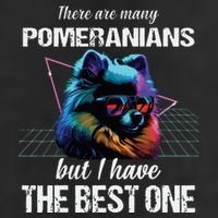 Pomeranian Dog Pomeranians Golf Towel