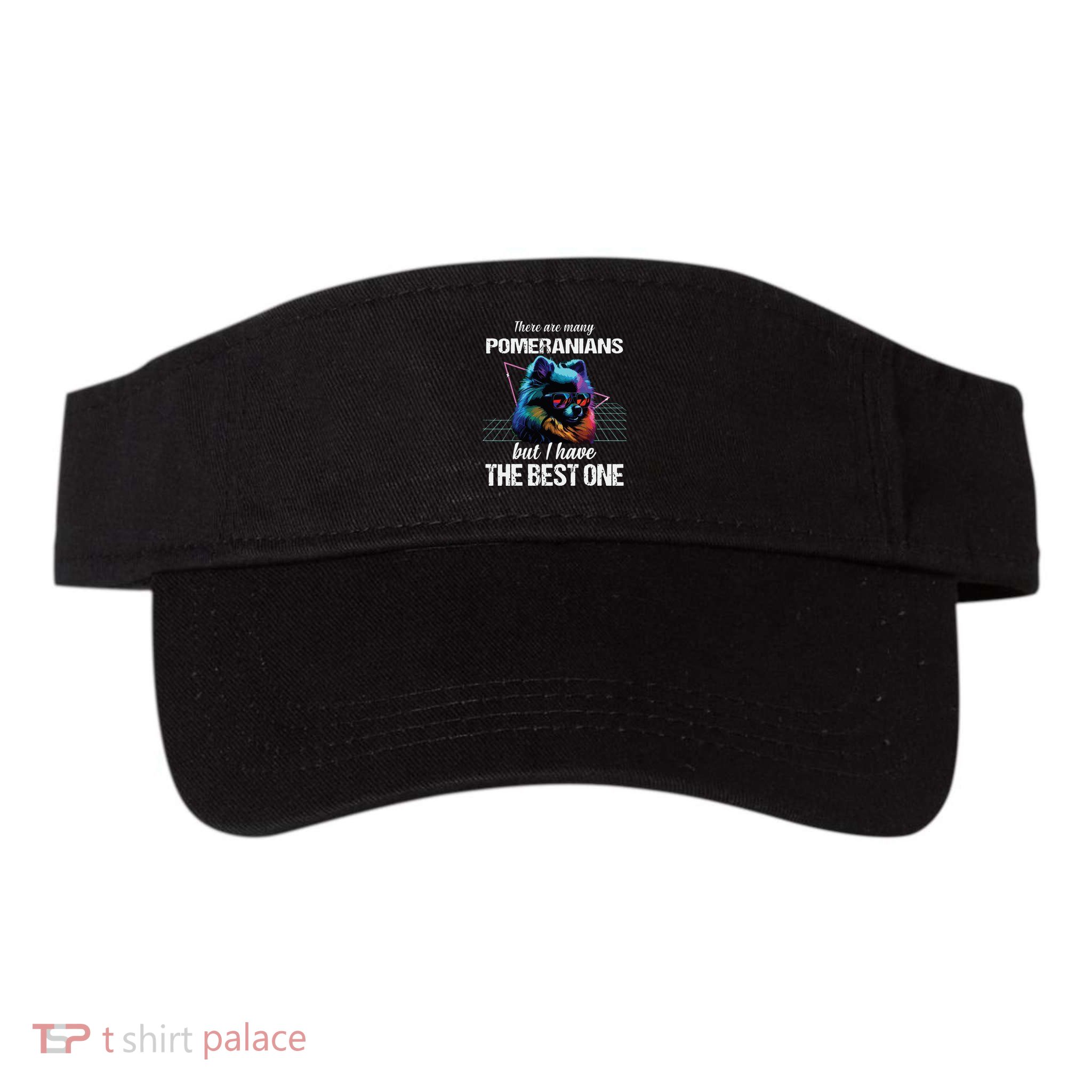 Pomeranian Dog Pomeranians Visor