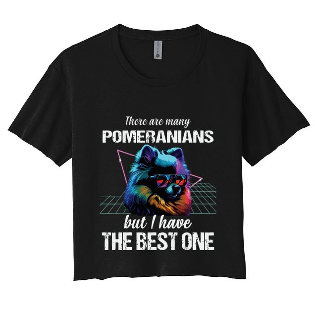 Pomeranian Dog Pomeranians Crop Top