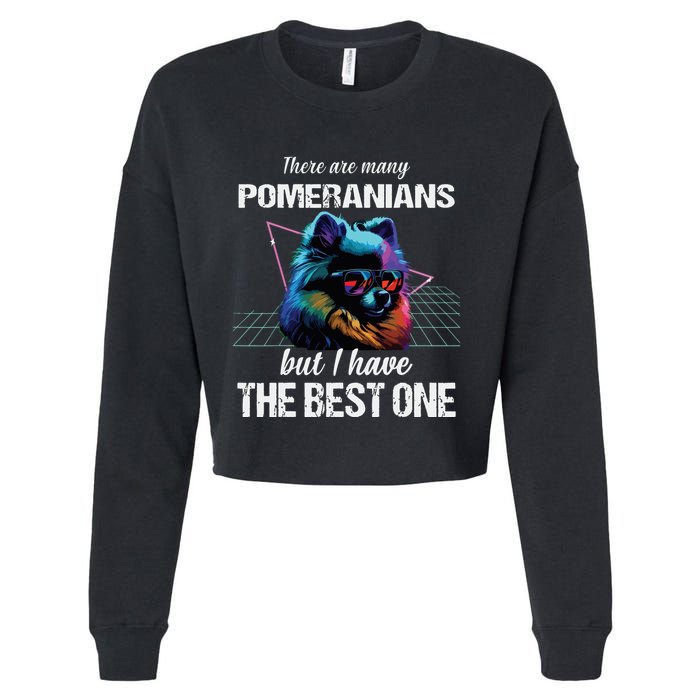 Pomeranian Dog Pomeranians Cropped Pullover Crew