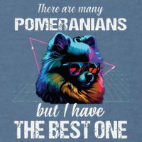Pomeranian Dog Pomeranians Garment-Dyed Sweatshirt