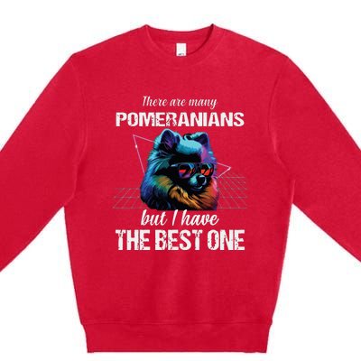 Pomeranian Dog Pomeranians Premium Crewneck Sweatshirt