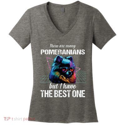 Pomeranian Dog Pomeranians Women's V-Neck T-Shirt
