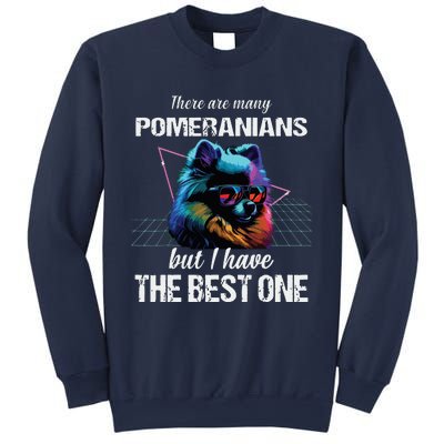 Pomeranian Dog Pomeranians Sweatshirt