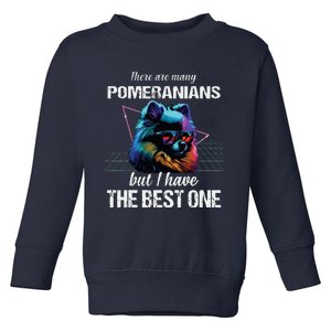 Pomeranian Dog Pomeranians Toddler Sweatshirt