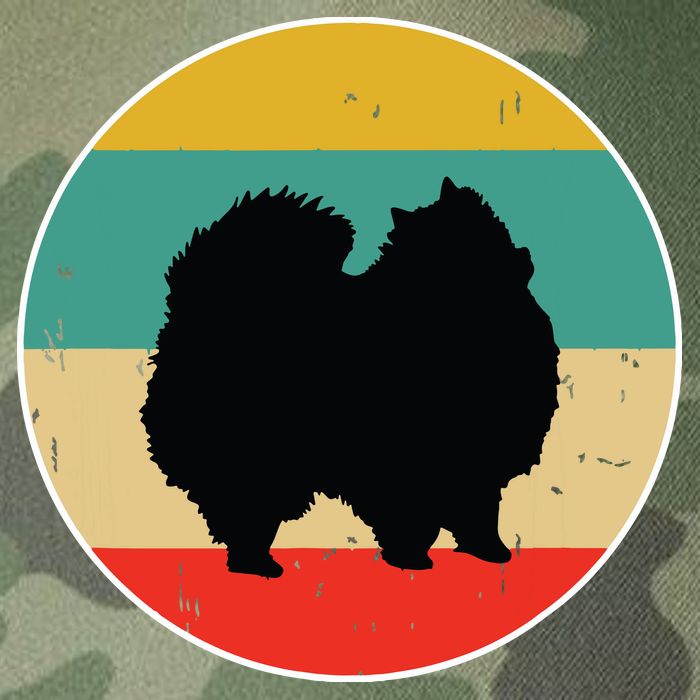 Pomeranian Dog Legacy Tie Dye Trucker Hat