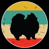 Pomeranian Dog Flat Bill Trucker Hat