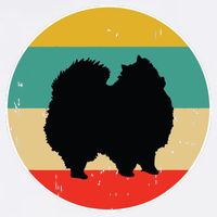 Pomeranian Dog Garment-Dyed Sweatshirt