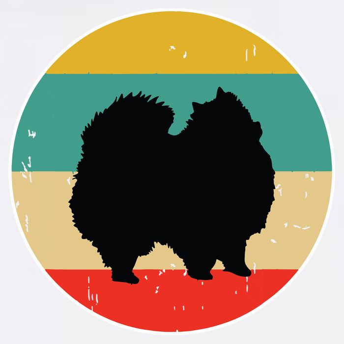 Pomeranian Dog Garment-Dyed Sweatshirt