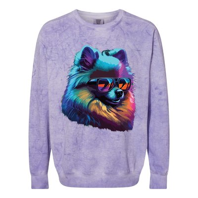 Pomeranian Dogs Pomeranians Colorblast Crewneck Sweatshirt