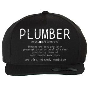 Plumber Definition Plumbing Dictionary Funny Plumber Wool Snapback Cap