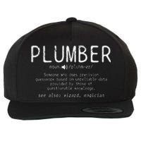 Plumber Definition Plumbing Dictionary Funny Plumber Wool Snapback Cap