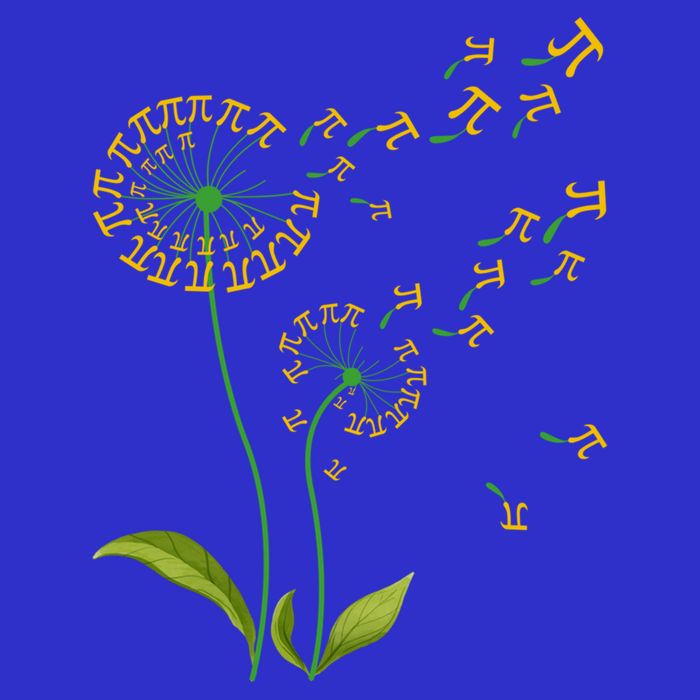 Pi Dandelion Pi Day Dandelion 3 14 Pi Number Math Dandelion Gift Kids T-Shirt