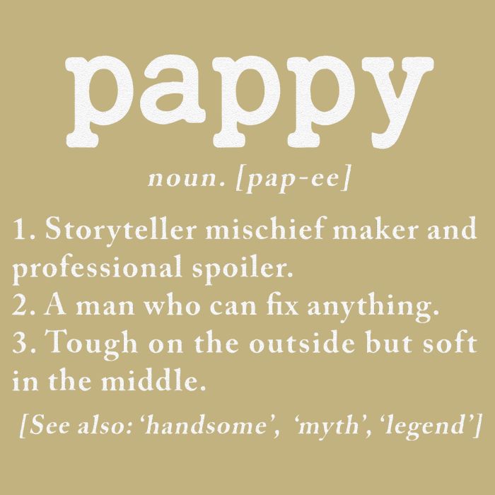 Pappy Definition Papa Grandpa Fathers Day Present Long Sleeve Shirt