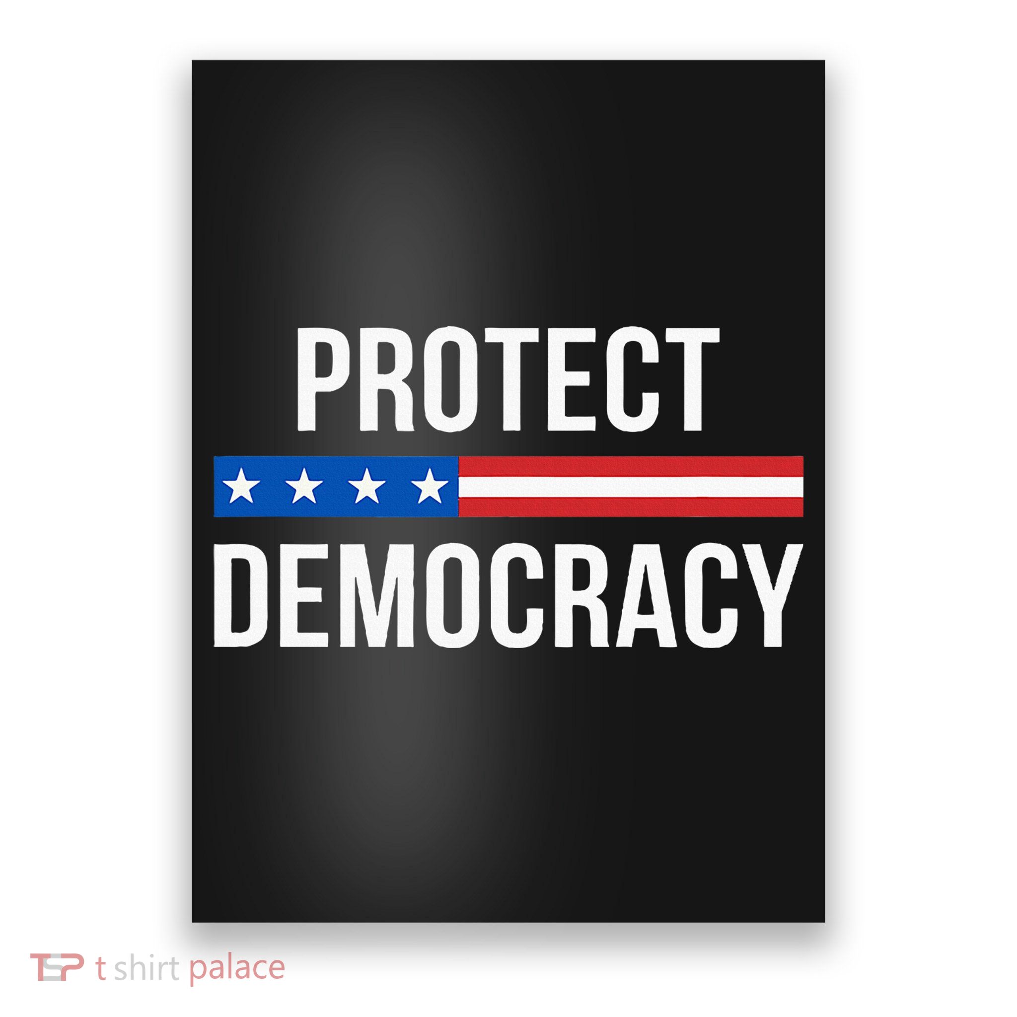 Protect Democracy Poster