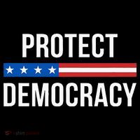 Protect Democracy Poster