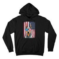 Patriotic Doberman Pinscher 4th Of July Usa American Flag Hoodie