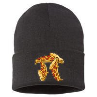 Pi Day Pizza Pi Funny Math Food Sustainable Knit Beanie