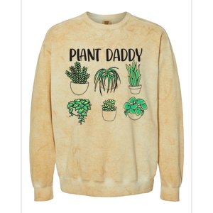 Plant Daddy Plant Lover Gardener Colorblast Crewneck Sweatshirt