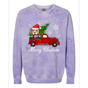 Pitbull Dog Riding Red Truck Christmas Decorations Pajama Gift Colorblast Crewneck Sweatshirt