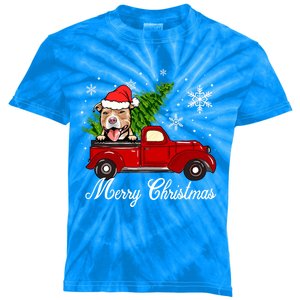 Pitbull Dog Riding Red Truck Christmas Decorations Pajama Gift Kids Tie-Dye T-Shirt