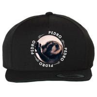 Pedro Dancing Raccoon Pedro Pedro Dancing Raccoon Meme Wool Snapback Cap