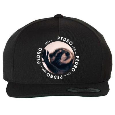 Pedro Dancing Raccoon Pedro Pedro Dancing Raccoon Meme Wool Snapback Cap