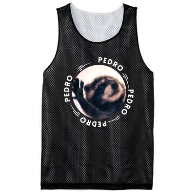 Pedro Dancing Raccoon Pedro Pedro Dancing Raccoon Meme Mesh Reversible Basketball Jersey Tank