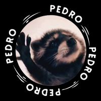 Pedro Dancing Raccoon Pedro Pedro Dancing Raccoon Meme Funny City Backpack