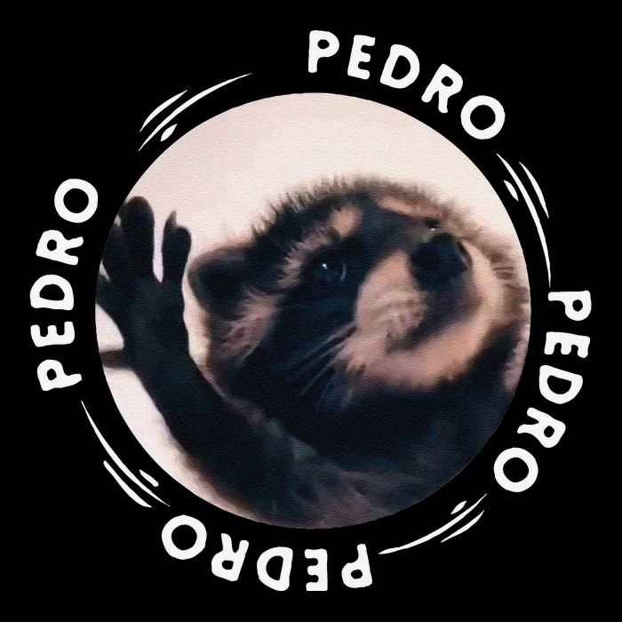 Pedro Dancing Raccoon Pedro Pedro Dancing Raccoon Meme Funny City Backpack