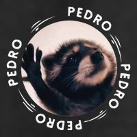 Pedro Dancing Raccoon Pedro Pedro Dancing Raccoon Meme Funny Adult Drive Performance Visor