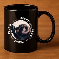 Pedro Dancing Raccoon Pedro Pedro Dancing Raccoon Meme Funny 11oz C Handle Ceramic Mug