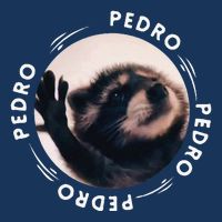 Pedro Dancing Raccoon Pedro Pedro Dancing Raccoon Meme Funny Cooling Performance Crew T-Shirt
