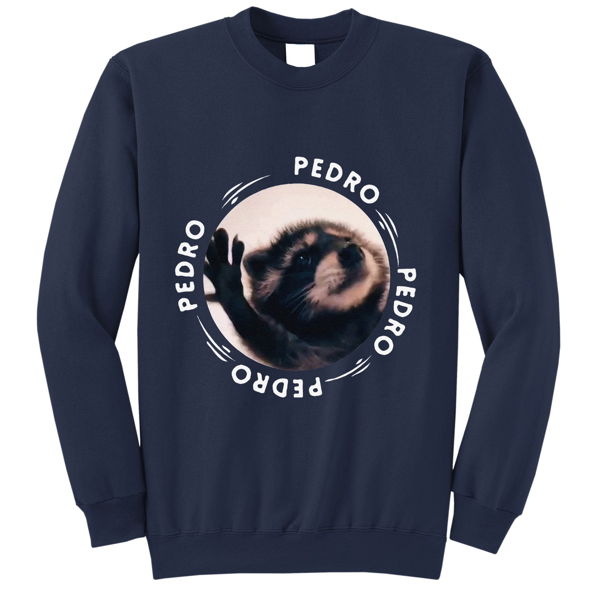 Pedro Dancing Raccoon Pedro Pedro Dancing Raccoon Meme Funny Sweatshirt