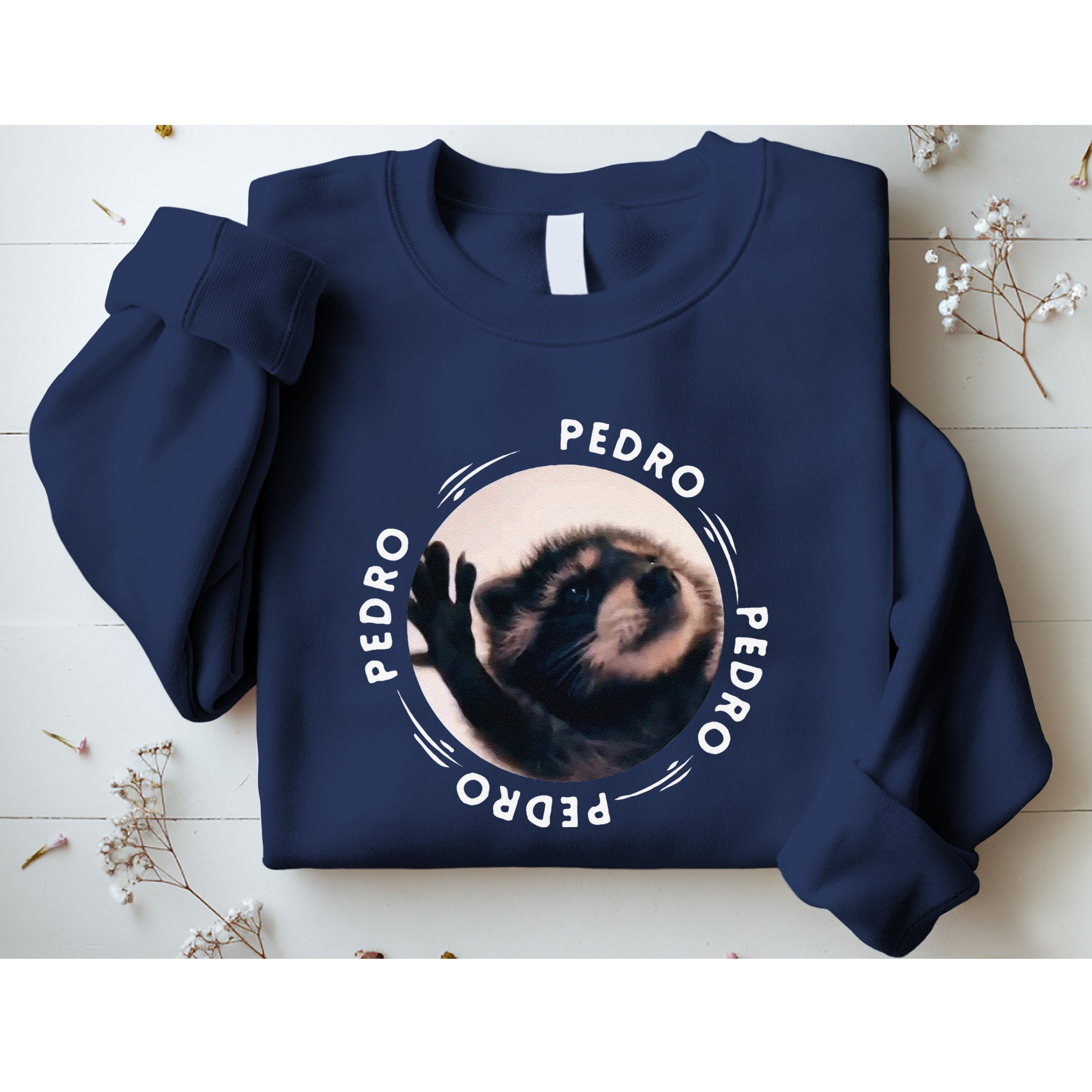 Pedro Dancing Raccoon Pedro Pedro Dancing Raccoon Meme Funny Sweatshirt