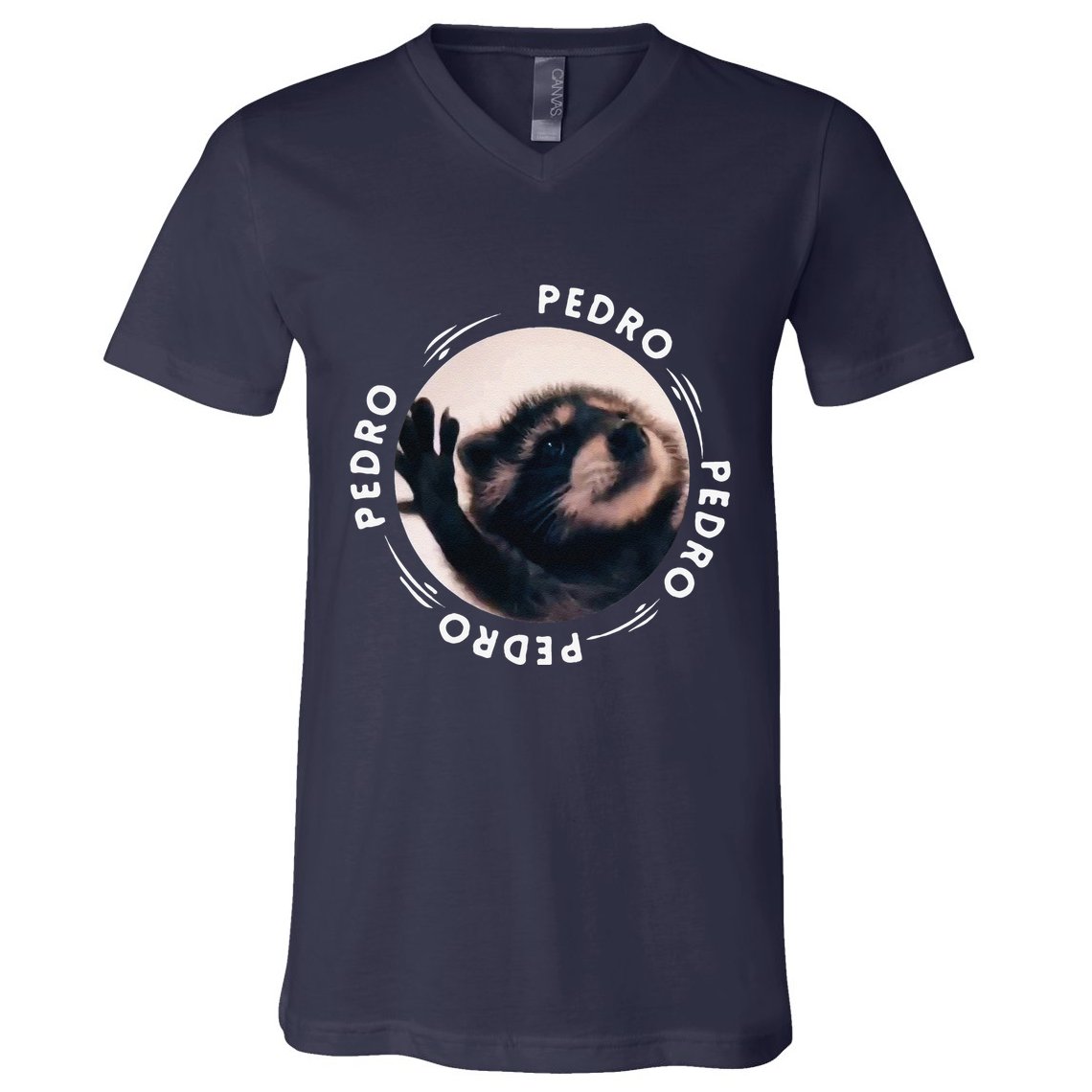Pedro Dancing Raccoon Pedro Pedro Dancing Raccoon Meme Funny V-Neck T-Shirt