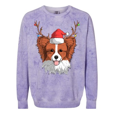 Papillon Dog Santa Claus Hat Christmas Xmas Reindeer Gift Colorblast Crewneck Sweatshirt