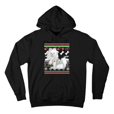 Pomeranian Dog Santa Claus Ugly Christmas Pattern Long Sleeve Hoodie