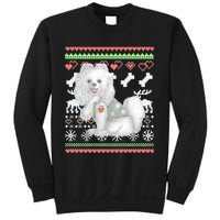 Pomeranian Dog Santa Claus Ugly Christmas Pattern Long Sleeve Sweatshirt