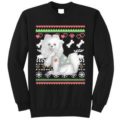 Pomeranian Dog Santa Claus Ugly Christmas Pattern Long Sleeve Sweatshirt