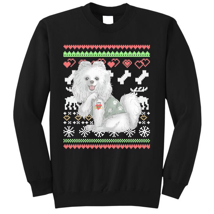 Pomeranian Dog Santa Claus Ugly Christmas Pattern Long Sleeve Sweatshirt